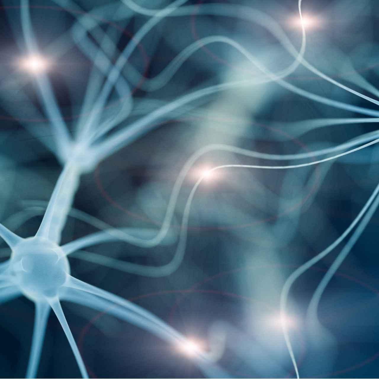 Conférence - La noosphère, les idées et le paradigme de la complexité